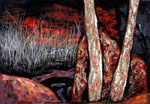 Neville Pilven, Kakadu Memory II