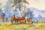 d'Arcy Doyle, The Yearlings