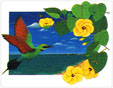 Anna Garland, Rainbow Bee Eater And Native Hibiscus