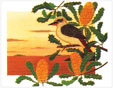 Anna Garland, Kookaburra on Tropical Banksia