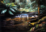 Colina Grant, Rainforest - Cascade Colina Grant, Rainforest - Cascade