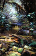 Colina Grant, Rainforest - Tranquil Colina Grant, Rainforest - Tranquil