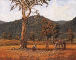 Stephen Paterson, The Bush Map Stephen Paterson, The Bush Map