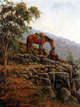 Stephen Paterson, The Lookout Stephen Paterson, The Lookout