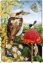 Ngaire Sales - Kookaburra Ngaire Sales - Kookaburra