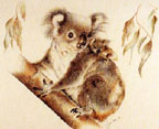 Geraldine Simmons, Koala Geraldine Simmons, Koala