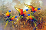 John Sindelar,  Lorikeets