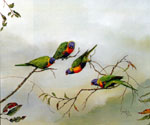 Josephine Anne Smith, Playful Lorikeets Josephine Anne Smith, Playful Lorikeets