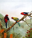 Josephine Anne Smith, The Preening Lesson Josephine Anne Smith, The Preening Lesson