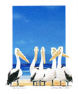 Bernie Walsh, Pelican Pose