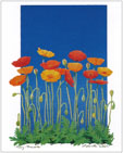 Bernie Walsh, Poppy Pirouette
