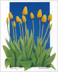 Bernie Walsh, Tulip Tango 