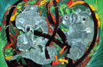 Priscilla Wright, Koala Capers